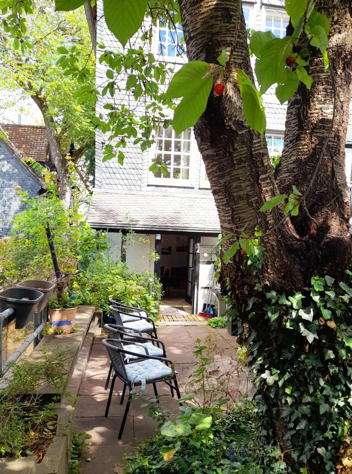 Ferienwohnung "Beste Lage" Altstadt Mit Terrasse Goslar Dış mekan fotoğraf