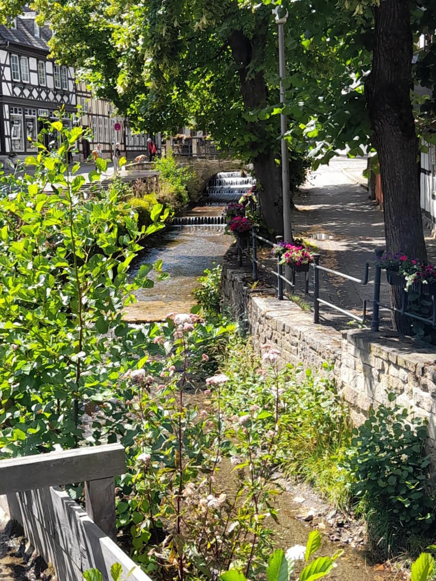 Ferienwohnung "Beste Lage" Altstadt Mit Terrasse Goslar Dış mekan fotoğraf