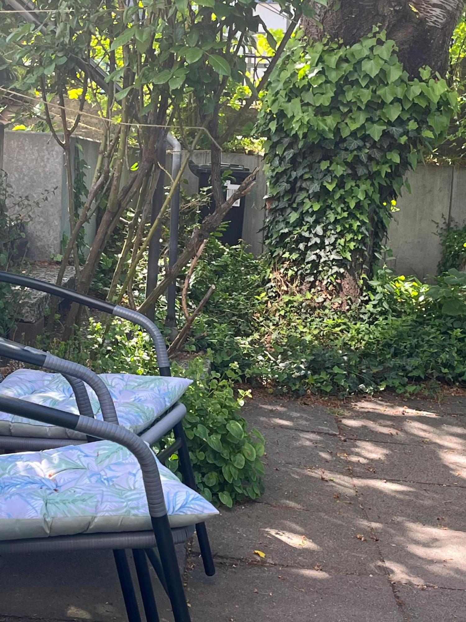 Ferienwohnung "Beste Lage" Altstadt Mit Terrasse Goslar Dış mekan fotoğraf